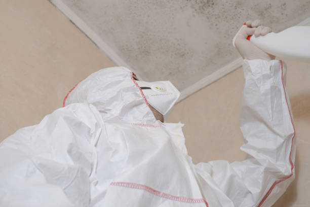 Best Mold Remediation for Specific Building Types in Yakima, WA